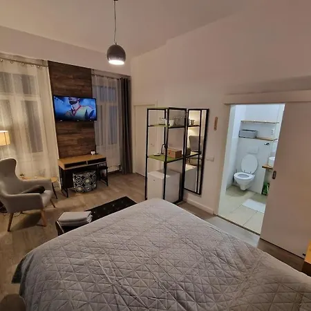 Appartement Ultra Bohemian 4 Cluj-Napoca